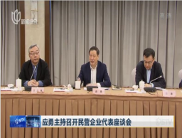 应勇主持召开民(mín)营企业代表座谈会